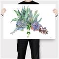 Picture of Succulent Group _GroupedProduct_Rectangle_Landscape_Canvas_