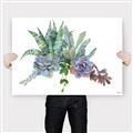 Picture of Succulent Group _GroupedProduct_Rectangle_Landscape_Canvas_