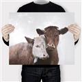Picture of Cow buddies _GroupedProduct_Rectangle_Landscape_Canvas_