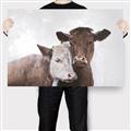 Picture of Cow buddies _GroupedProduct_Rectangle_Landscape_Canvas_