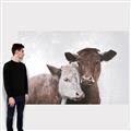 Picture of Cow buddies _GroupedProduct_Rectangle_Landscape_Canvas_