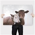 Picture of Cow buddies _GroupedProduct_Rectangle_Landscape_Canvas_