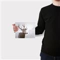 Picture of Reindeer _GroupedProduct_Rectangle_Landscape_Canvas_