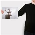 Picture of Reindeer _GroupedProduct_Rectangle_Landscape_Canvas_