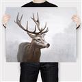 Picture of Reindeer _GroupedProduct_Rectangle_Landscape_Canvas_