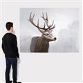 Picture of Reindeer _GroupedProduct_Rectangle_Landscape_Canvas_