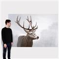 Picture of Reindeer _GroupedProduct_Rectangle_Landscape_Canvas_