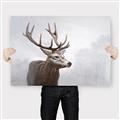 Picture of Reindeer _GroupedProduct_Rectangle_Landscape_Canvas_