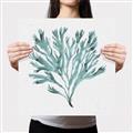 Picture of Teal Coral II  _GroupedProduct_Square_Canvas_