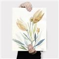 Picture of Soft Tulips  I _GroupedProduct_Rectangle_Portrait_Canvas_