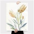 Picture of Soft Tulips  I _GroupedProduct_Rectangle_Portrait_Canvas_