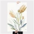 Picture of Soft Tulips  I _GroupedProduct_Rectangle_Portrait_Canvas_