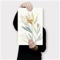Picture of Soft Tulips II _GroupedProduct_Rectangle_Portrait_Canvas_