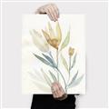 Picture of Soft Tulips II _GroupedProduct_Rectangle_Portrait_Canvas_