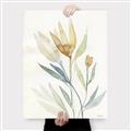 Picture of Soft Tulips II _GroupedProduct_Rectangle_Portrait_Canvas_