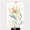 Picture of Soft Tulips II _GroupedProduct_Rectangle_Portrait_Canvas_