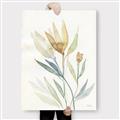 Picture of Soft Tulips II _GroupedProduct_Rectangle_Portrait_Canvas_