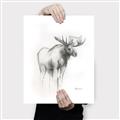 Picture of Moose Charcoal _GroupedProduct_Rectangle_Portrait_Canvas_