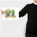 Picture of Splashed Cactus I  _GroupedProduct_Rectangle_Landscape_Canvas_