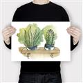 Picture of Splashed Cactus I  _GroupedProduct_Rectangle_Landscape_Canvas_