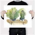 Picture of Splashed Cactus I  _GroupedProduct_Rectangle_Landscape_Canvas_