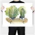 Picture of Splashed Cactus I  _GroupedProduct_Rectangle_Landscape_Canvas_