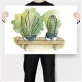 Picture of Splashed Cactus I  _GroupedProduct_Rectangle_Landscape_Canvas_