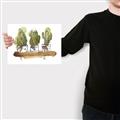 Picture of Splashed Cactus II  _GroupedProduct_Rectangle_Landscape_Canvas_
