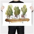 Picture of Splashed Cactus II  _GroupedProduct_Rectangle_Landscape_Canvas_