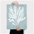 Picture of Coral Leaves II _GroupedProduct_Rectangle_Portrait_Canvas_