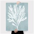 Picture of Coral Leaves II _GroupedProduct_Rectangle_Portrait_Canvas_