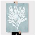 Picture of Coral Leaves II _GroupedProduct_Rectangle_Portrait_Canvas_