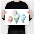 Picture of Seashells I  _GroupedProduct_Rectangle_Landscape_Canvas_