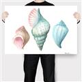 Picture of Seashells I  _GroupedProduct_Rectangle_Landscape_Canvas_