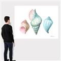 Picture of Seashells I  _GroupedProduct_Rectangle_Landscape_Canvas_