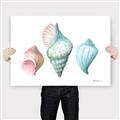 Picture of Seashells I  _GroupedProduct_Rectangle_Landscape_Canvas_