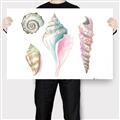 Picture of Seashells II  _GroupedProduct_Rectangle_Landscape_Canvas_