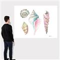 Picture of Seashells II  _GroupedProduct_Rectangle_Landscape_Canvas_