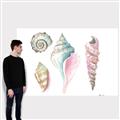 Picture of Seashells II  _GroupedProduct_Rectangle_Landscape_Canvas_