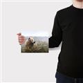 Picture of Waking Up _GroupedProduct_Rectangle_Landscape_Canvas_