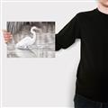 Picture of Wading Egret _GroupedProduct_Rectangle_Landscape_Canvas_