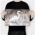 Picture of Wading Egret _GroupedProduct_Rectangle_Landscape_Canvas_