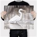 Picture of Wading Egret _GroupedProduct_Rectangle_Landscape_Canvas_