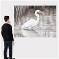 Picture of Wading Egret _GroupedProduct_Rectangle_Landscape_Canvas_