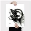 Picture of Sketched Ram _GroupedProduct_Rectangle_Portrait_Canvas_