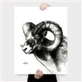 Picture of Sketched Ram _GroupedProduct_Rectangle_Portrait_Canvas_
