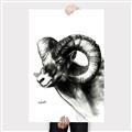 Picture of Sketched Ram _GroupedProduct_Rectangle_Portrait_Canvas_