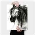 Picture of Sketched Horse _GroupedProduct_Rectangle_Portrait_Canvas_
