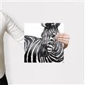 Picture of Zebra Watching _GroupedProduct_Square_Canvas_