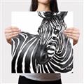 Picture of Zebra Watching _GroupedProduct_Square_Canvas_